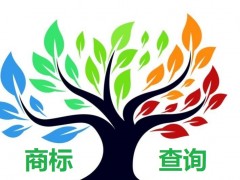 如何應(yīng)對(duì)商標(biāo)查詢盲期？